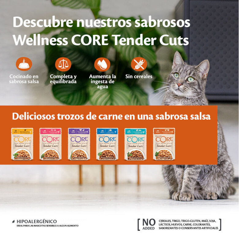 Wellness Core Tender Cuts Pollo Sobre en salsa para gatos, , large image number null